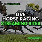 bet on racing today